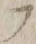 字フ