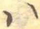 𛂞の位置
