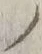 字ノ