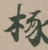 㭬の位置