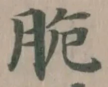 脆の位置