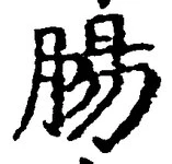 글자 腸