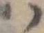 𛂞 위치 확인됨