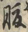 腹 위치 확인됨