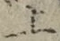字上