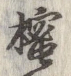 樒 위치 확인됨