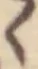 Đã định vị く