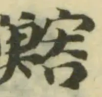鰫の位置
