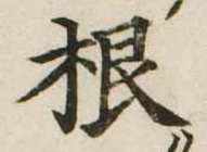 根 위치 확인됨