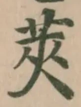 莢の位置
