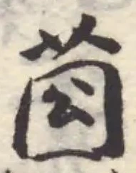莔の位置