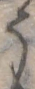 位置定マレル𛁚