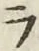 글자 ラ