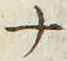 「ナ」字