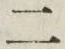 “二”字