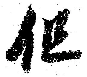 已定位但