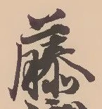 글자 藤