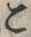 “こ”字