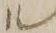 「ル」字