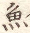 魚 위치 확인됨