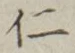字仁