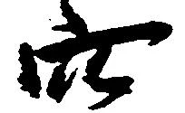已定位穴