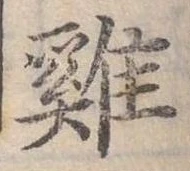 已定位雞