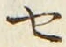“セ”字