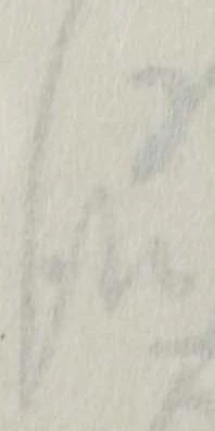 報 위치 확인됨