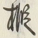 文字樅
