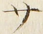 𡨸サ