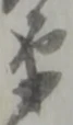 衛の位置