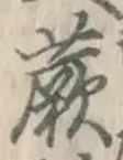 文字蕨
