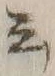 Chữ 云