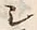 文字シ