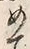 「め」字