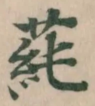蒓の位置