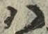 字は