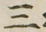 位置定マレル三