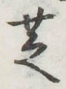 芝 위치 확인됨