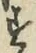 Character す