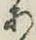 字あ