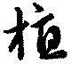 植 위치 확인됨