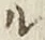 𡨸ル