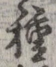 已定位種