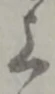 글자 上