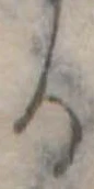 位置定マレル𛃻