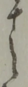 之 위치 확인됨