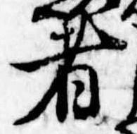 位置 確認된 者