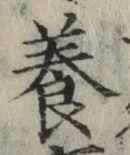 글자 養